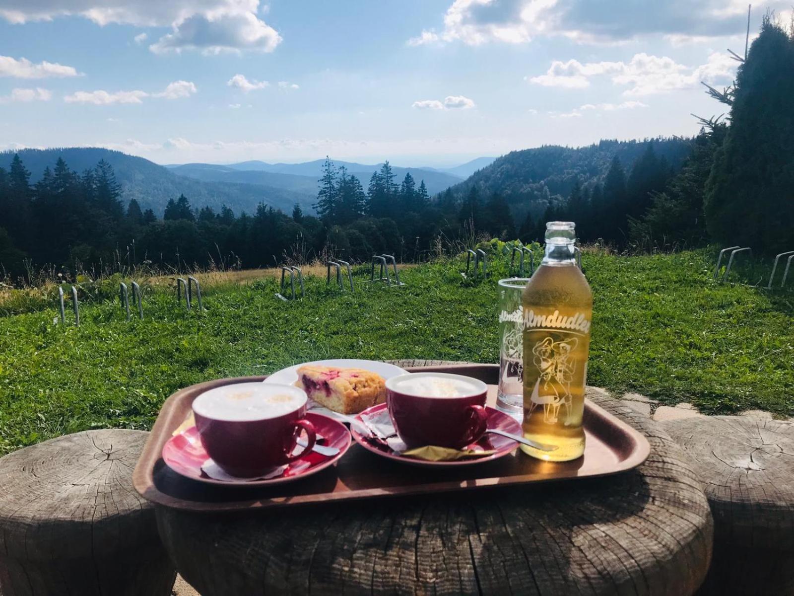 Ferienhaus Robin Titisee-Neustadt Buitenkant foto