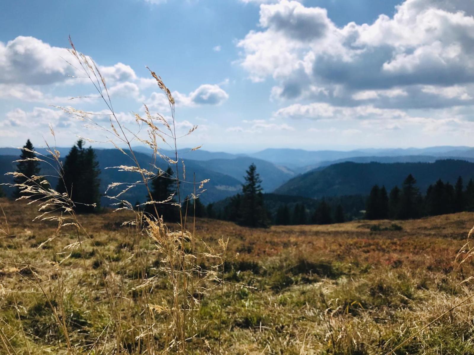 Ferienhaus Robin Titisee-Neustadt Buitenkant foto