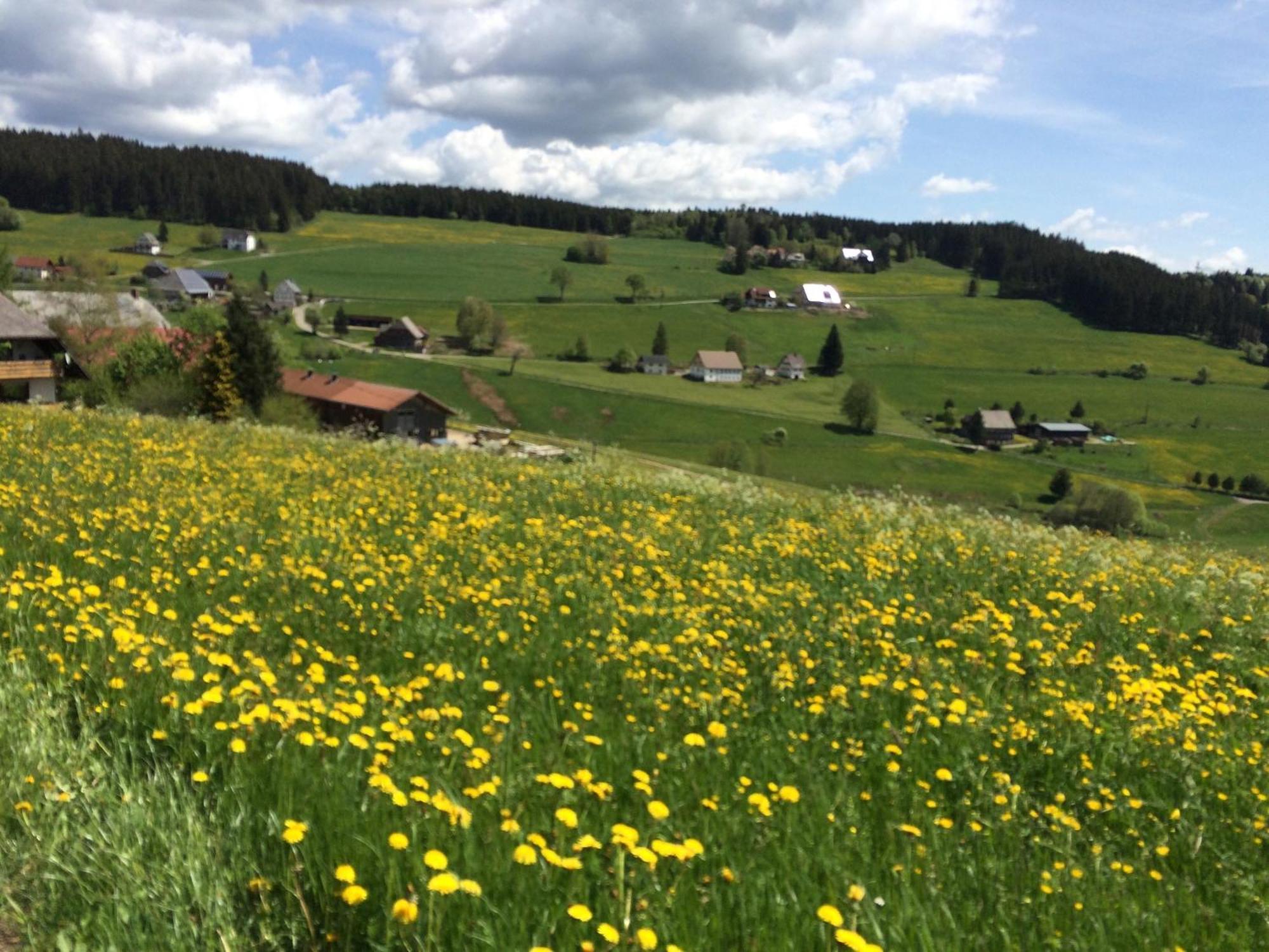 Ferienhaus Robin Titisee-Neustadt Buitenkant foto
